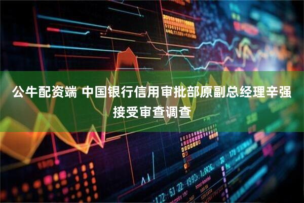 公牛配资端 中国银行信用审批部原副总经理辛强接受审查调查