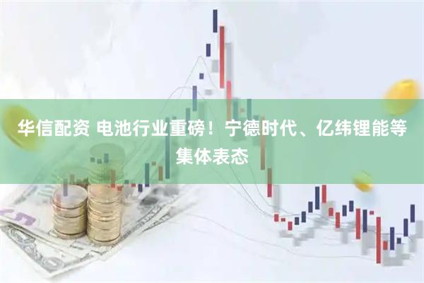 华信配资 电池行业重磅！宁德时代、亿纬锂能等集体表态