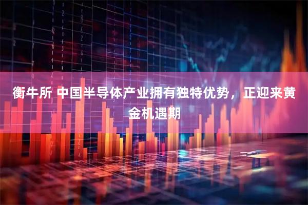 衡牛所 中国半导体产业拥有独特优势，正迎来黄金机遇期